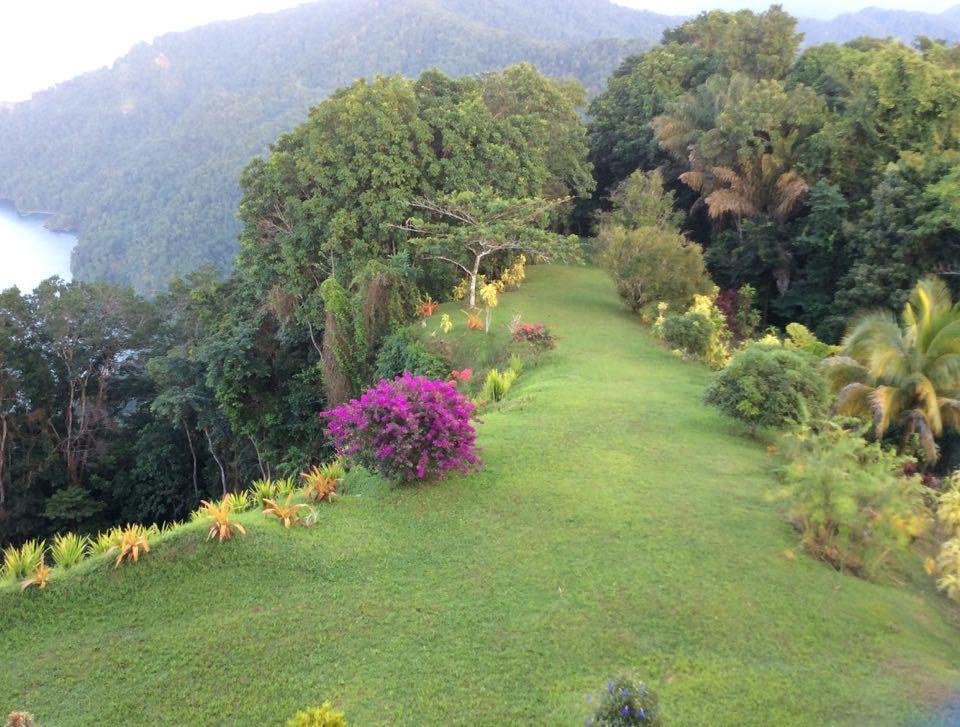 Mahogany Ridge Otel Arouca Dış mekan fotoğraf