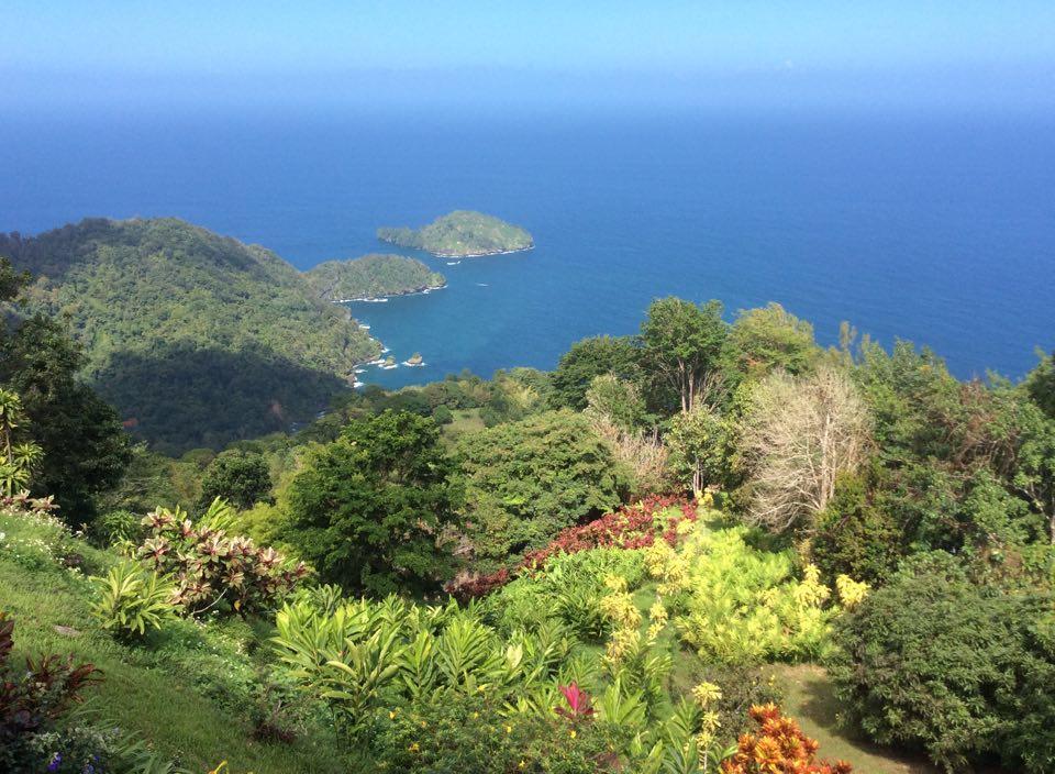 Mahogany Ridge Otel Arouca Dış mekan fotoğraf