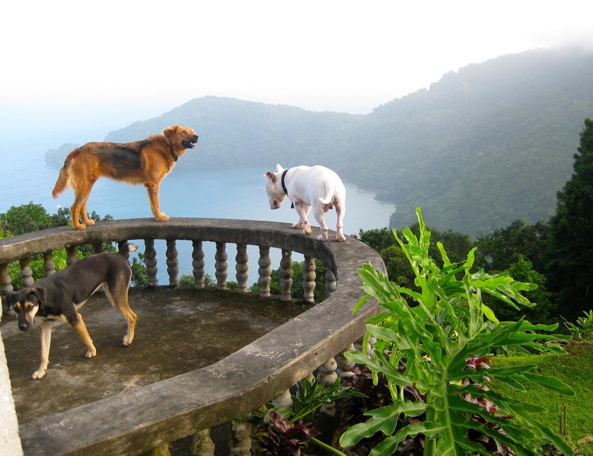 Mahogany Ridge Otel Arouca Dış mekan fotoğraf