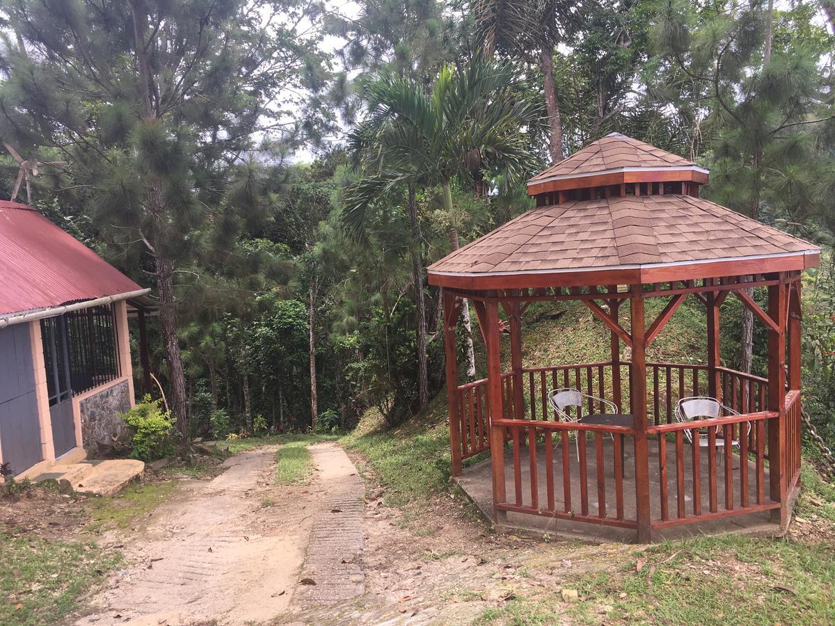 Mahogany Ridge Otel Arouca Dış mekan fotoğraf